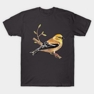 American Goldfinch painting (female) T-Shirt